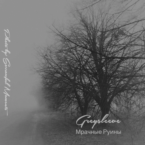 Greysleeve : M​r​a​ch​n​y​ye R​u​i​n​y